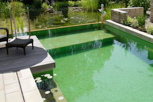 1 natural swimming pool - Germany www.biotop-natural-pool-com