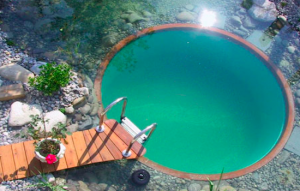 5 natural swimming pool